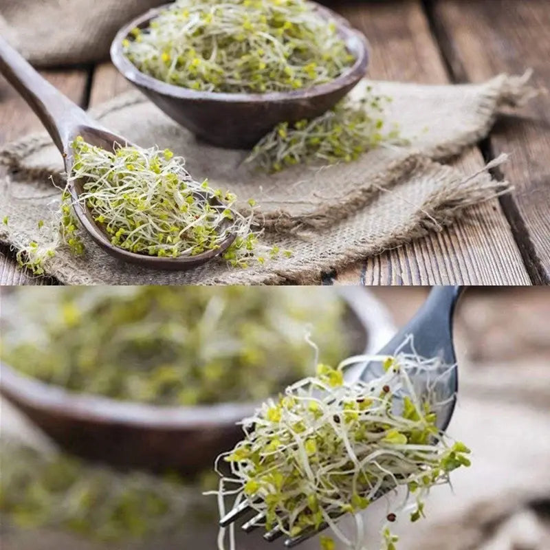 Stainless Steel Sprouting Jar Lid x 4