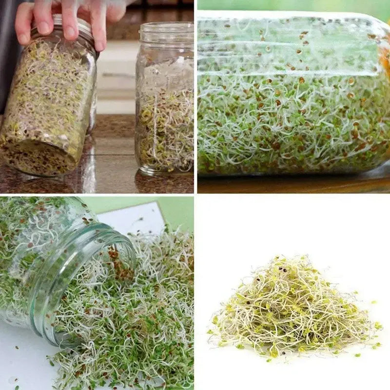 Stainless Steel Sprouting Jar Lid x 4