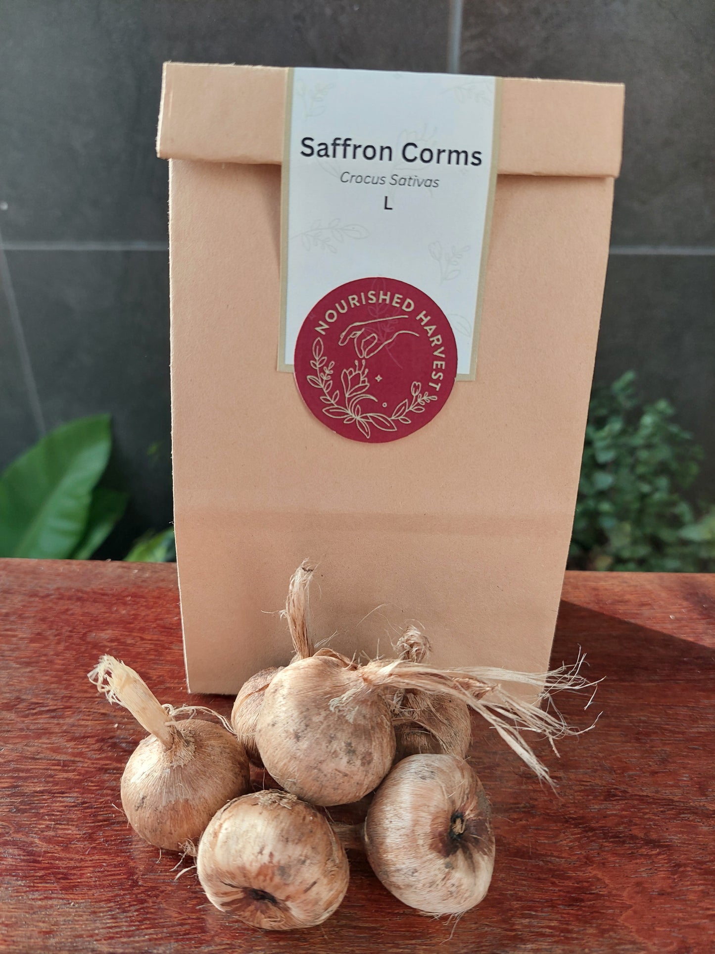 Crocus Sativus - Corms L Grade 25-30mm
