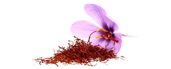 Crocus Sativus - Corms 10-20mm