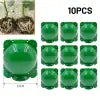 Propagation Ball Graft Breeding Plant Case