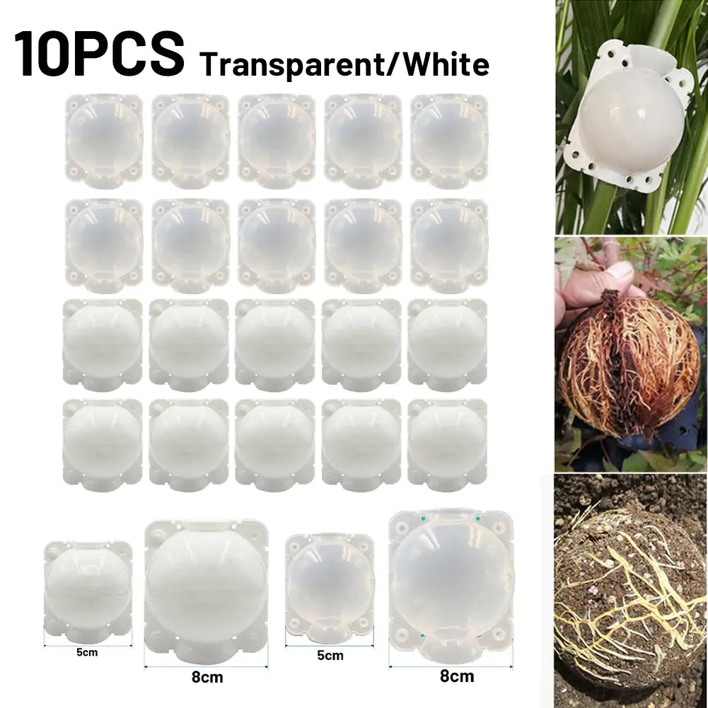 Propagation Ball Graft Breeding Plant Case