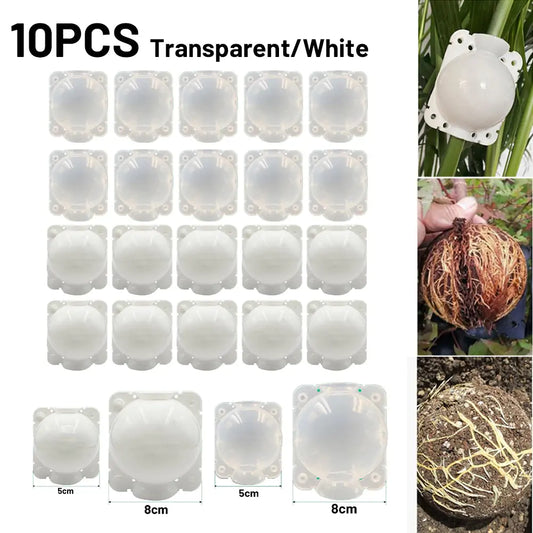 Propagation Ball Graft Breeding Plant Case