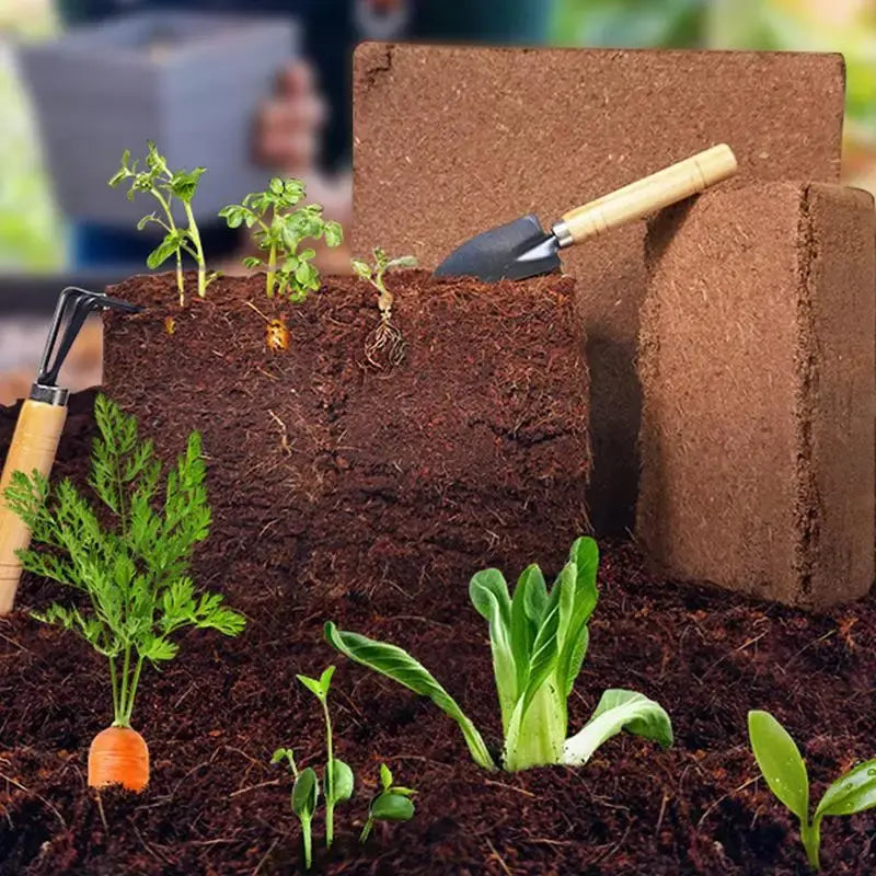 Organic Coconut Coir Bricks