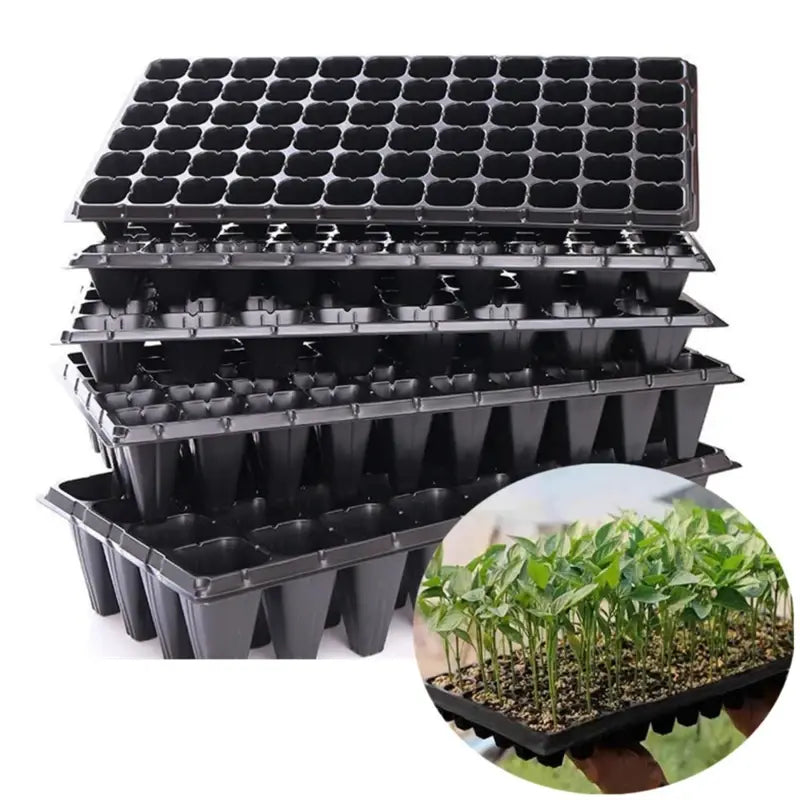 3 Pcs Thickened Seed Trays