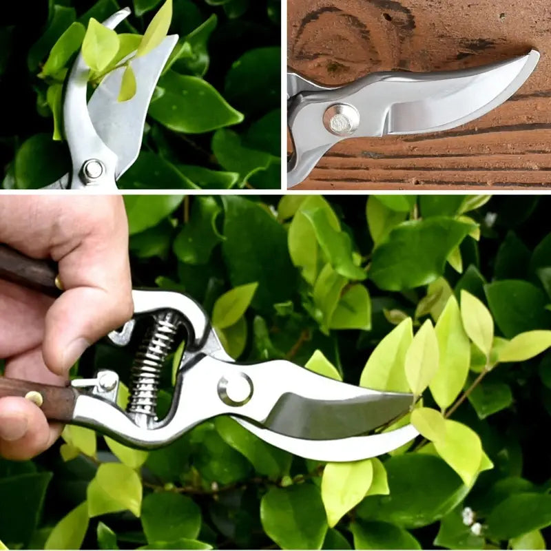 Wooden Handle Pruning Shears
